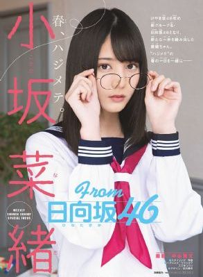 文豪野犬第六季全集免费观看_BD在线观看完整版