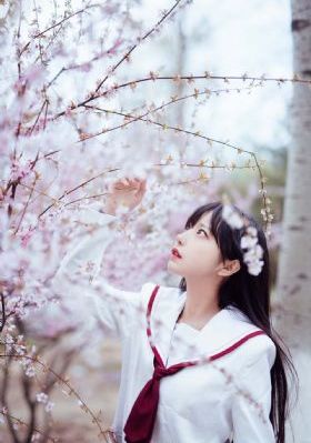 虎妈猫爸第一部 电视剧_蓝光在线观看电视